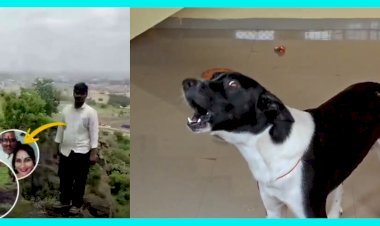 Loyal Dog Sheru After Three Days of Waiting